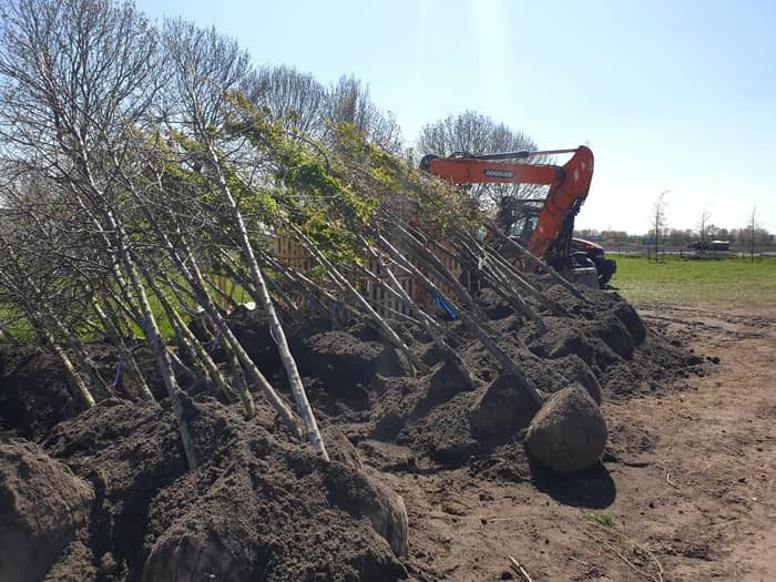 Bomen voor Natuurbegraafplaats Geestmerloo