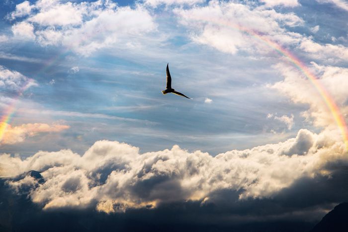 Achter de regenboog - Thuis in rouw