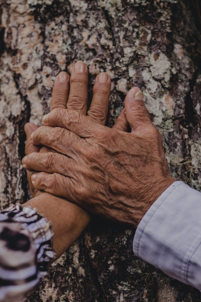 Gezamenlijke euthanasie