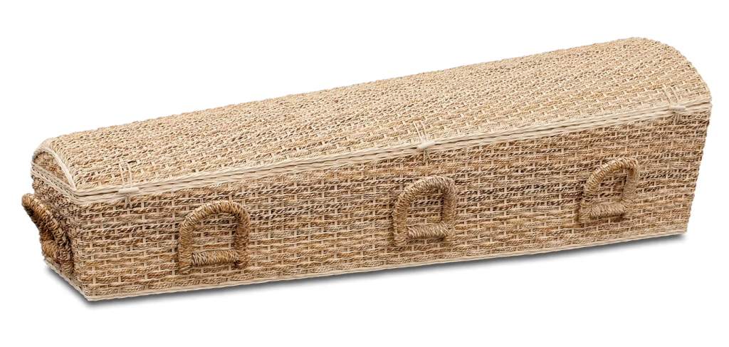 Abaca