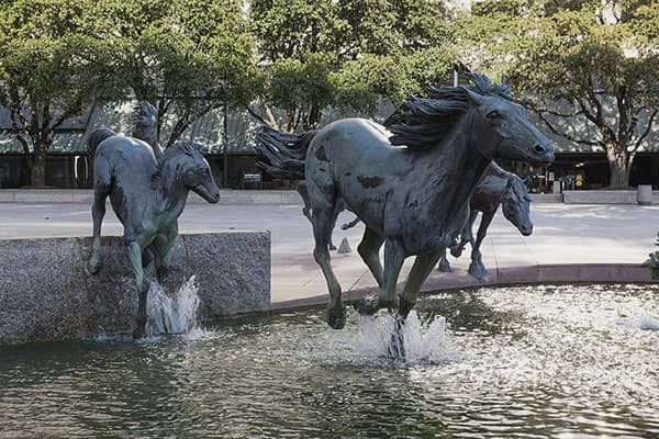 Mustangs - Het geluid van galopperende paardenhoeven